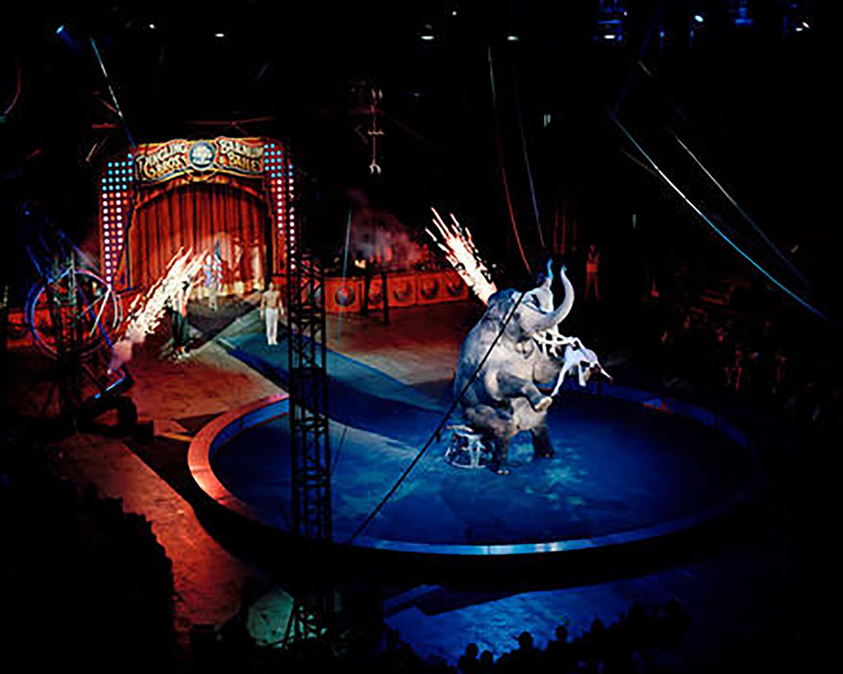 This Is The Real Story Behind The Ringling Brothers Circus