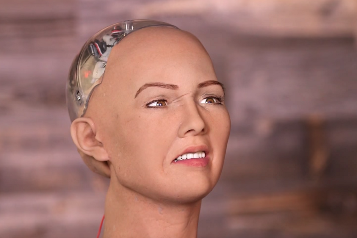 Sophia the robot is a scam and a 'bulls**t puppet', says Facebook's director of AI