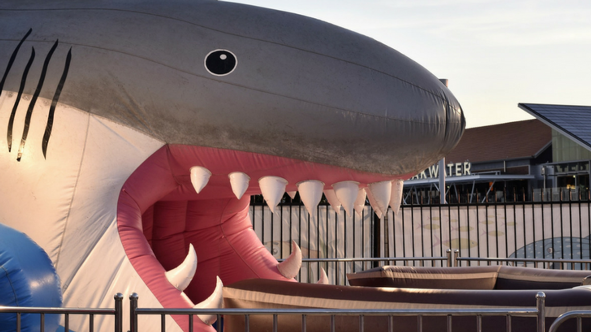 PHOTOS: Manchester City Adopts Inflatable Sharks as New 'Mascot'