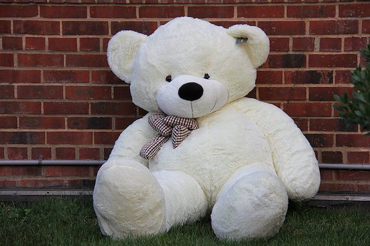 amazon teddy bear long legs