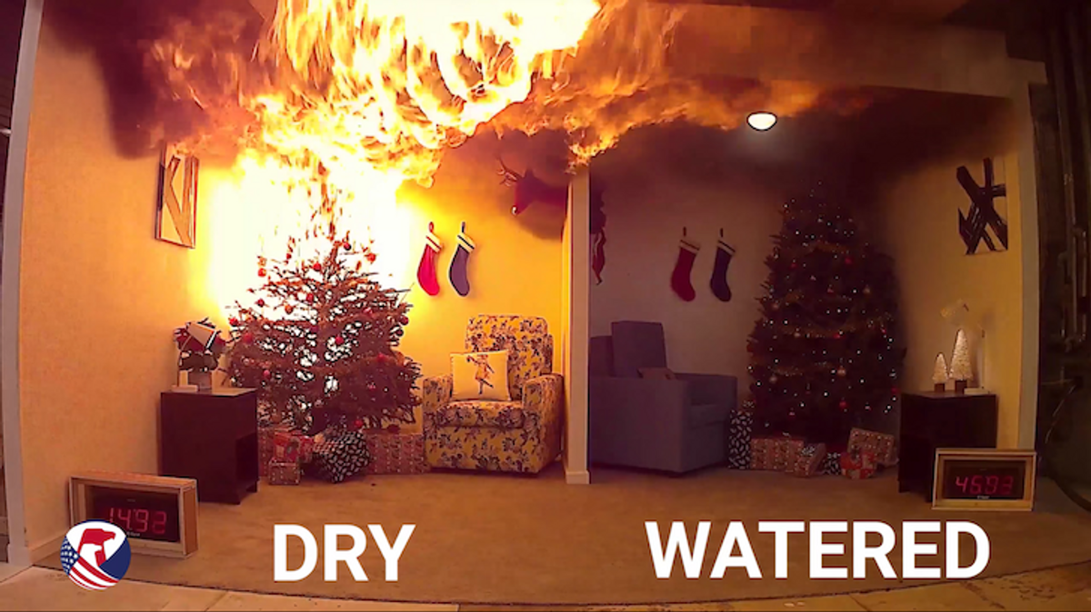 WATCH: Christmas Tree PSA Scares People to Practice Fire Safety