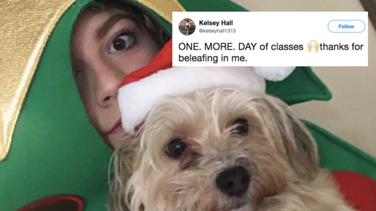 PHOTO: Student Who Promised to Dress as Christmas Tree Finishes Semester