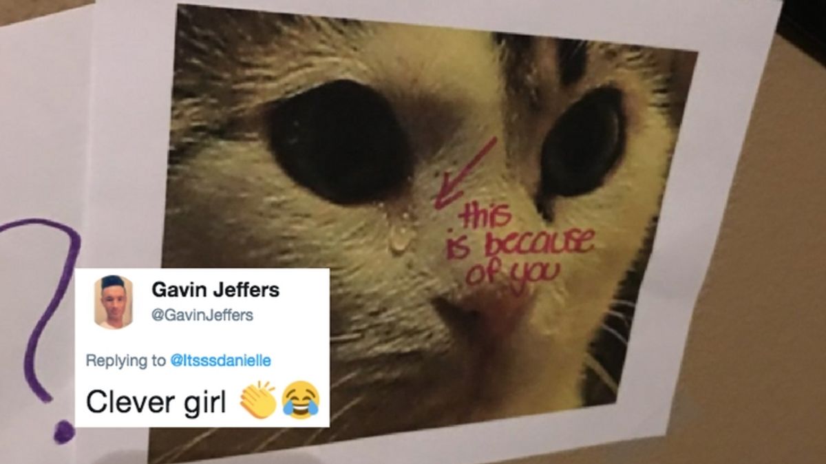 PHOTOS: Girl Uses 'Wall of Sorrow' to Shame Dad Into Getting Her a Cat