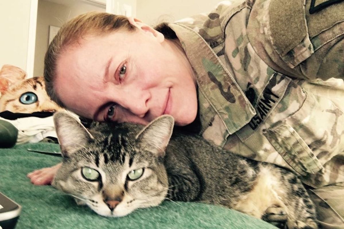 Cat Travels with Soldier Everywhere She Goes and Never Leaves Her Side for 4 Years.