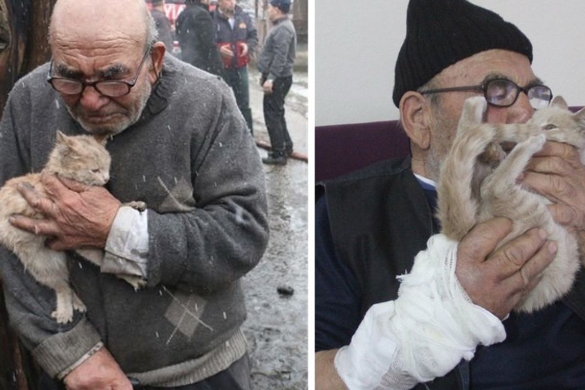 Elderly Man Held His Beloved Kitten After Losing Everything to Fire, Now Has a Safe and Warm Place