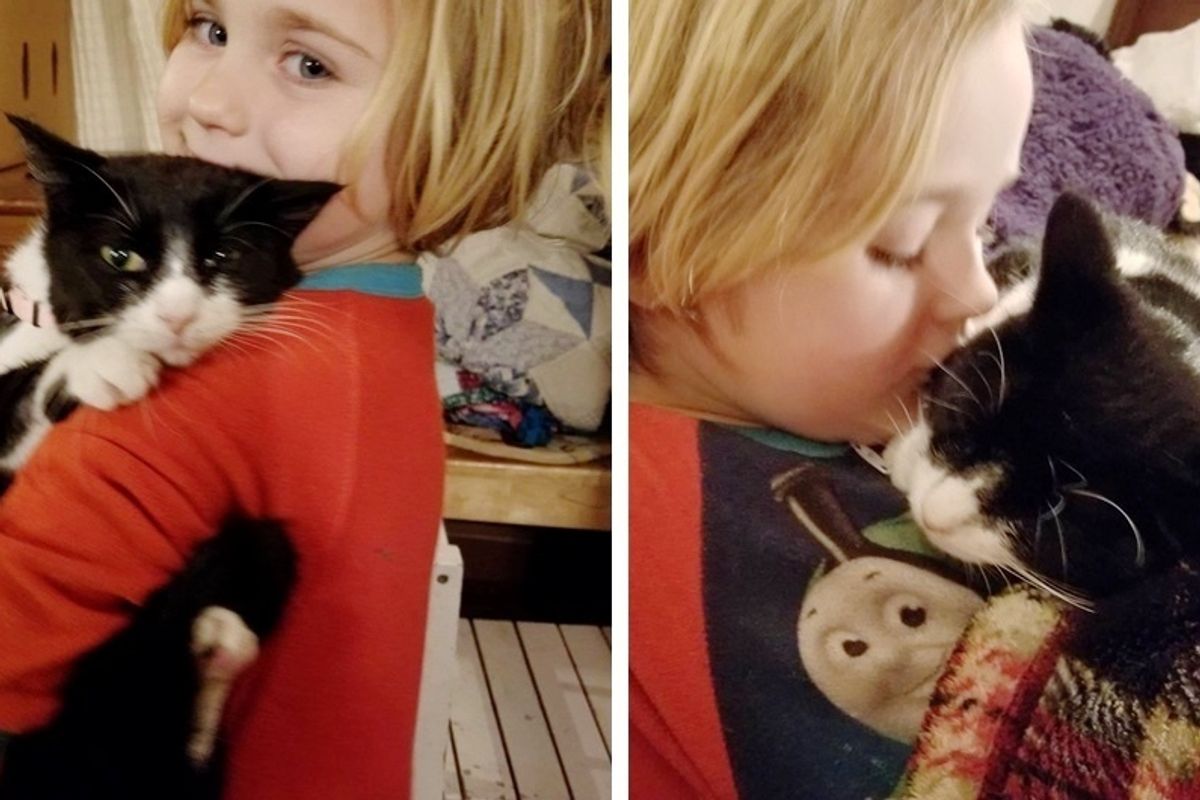 Rescue Kitten Was So Scared of Everyone Until She Met a Little Girl