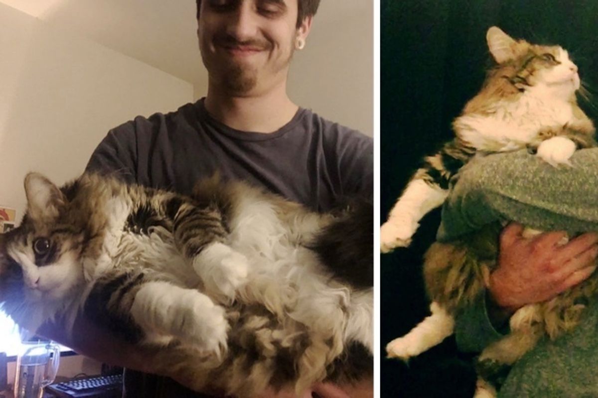 Man Who Grudgingly Accepted Getting a Cat, Now Holds Her All the Time.