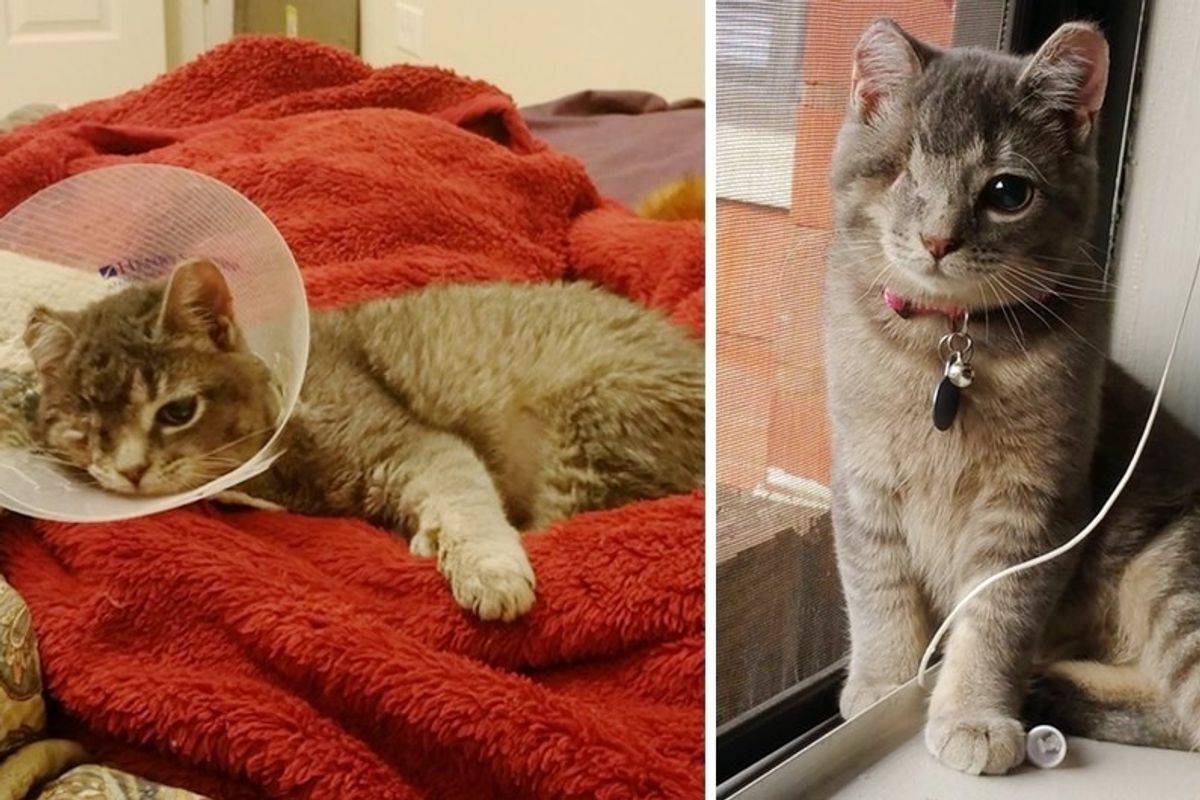 Scaredy Cat Saved From a Tree During Storm, Lost an Eye but Found Someone She Loves.
