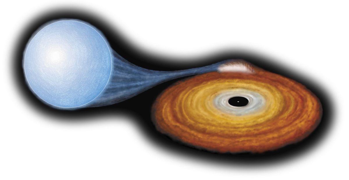 Some Black Holes May Erase the Past & Scramble the Future