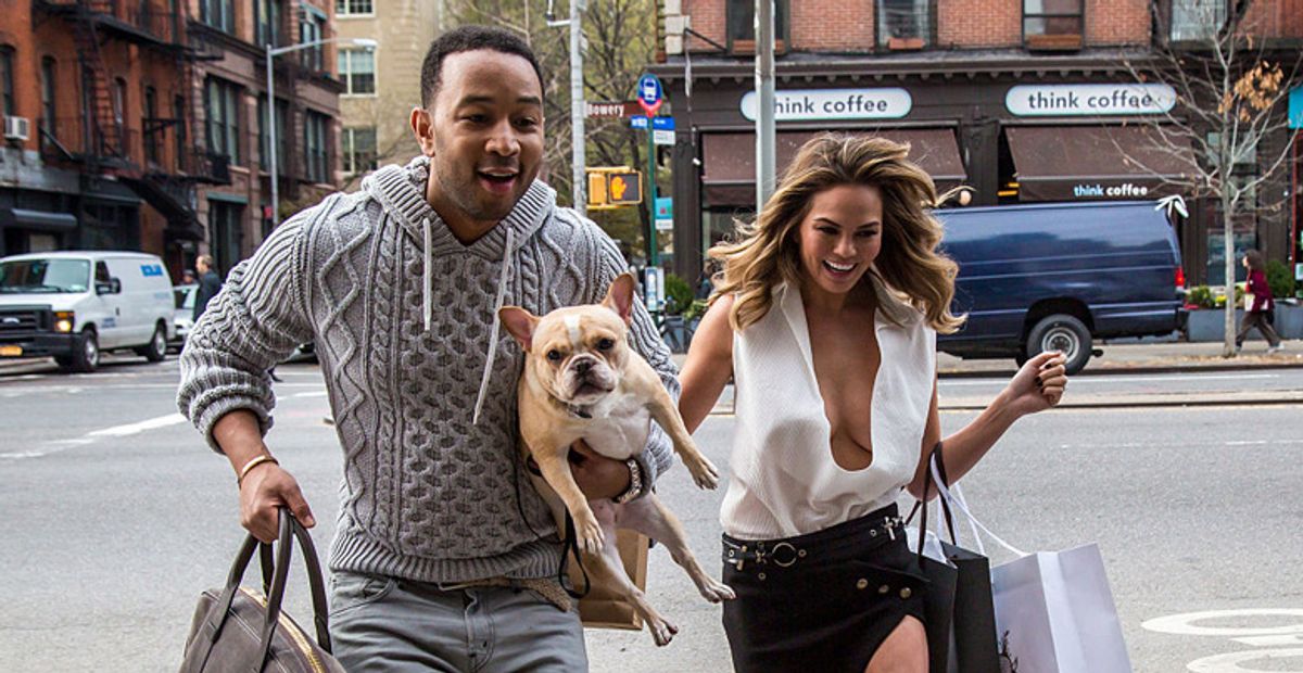 Chrissy Teigen's Dog Puddy Died & His Obituary Was Written All Over Instagram, Twitter