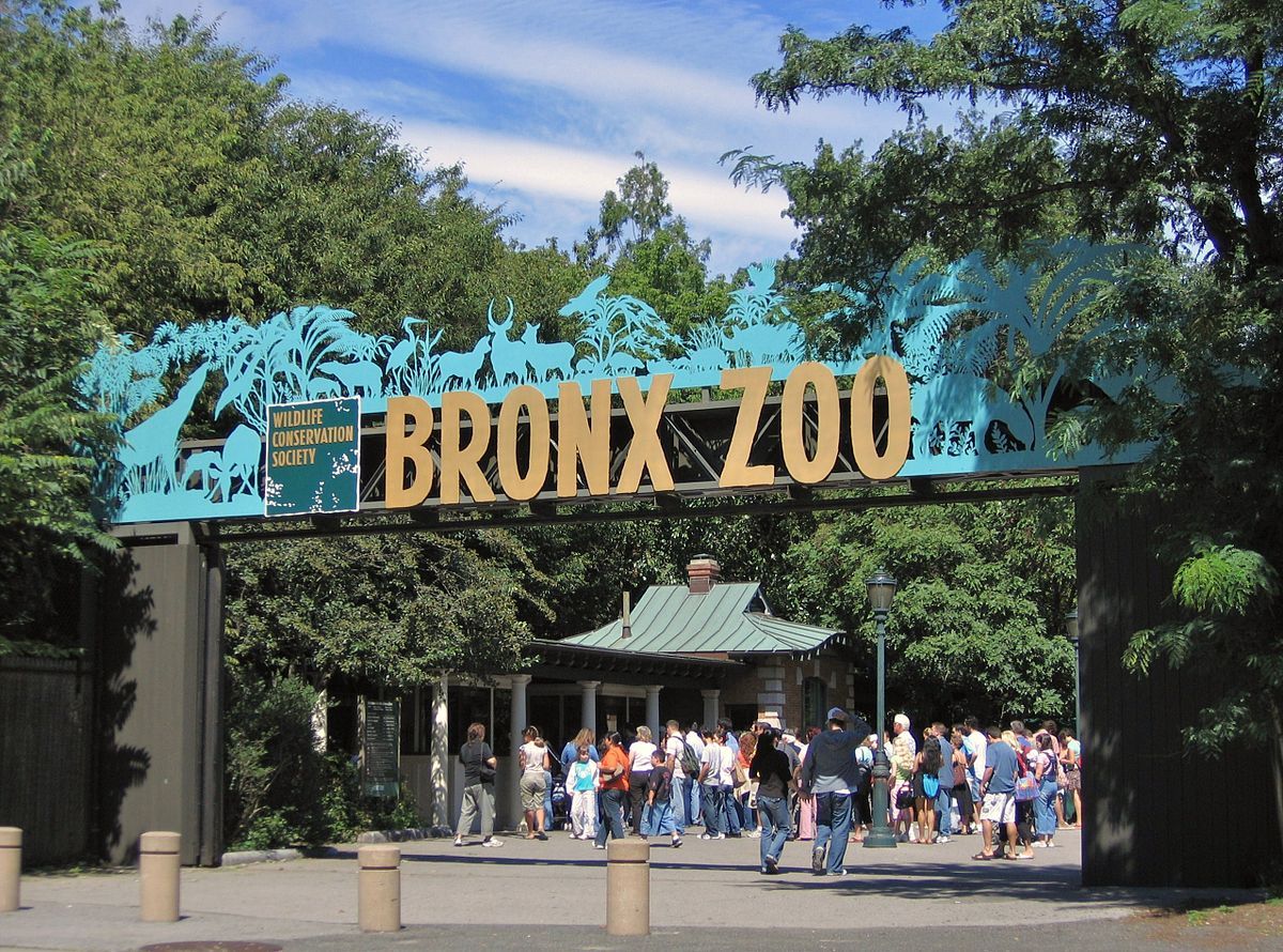 The Complex Emotions That Seeing Exotic Animals In New York Brings Out