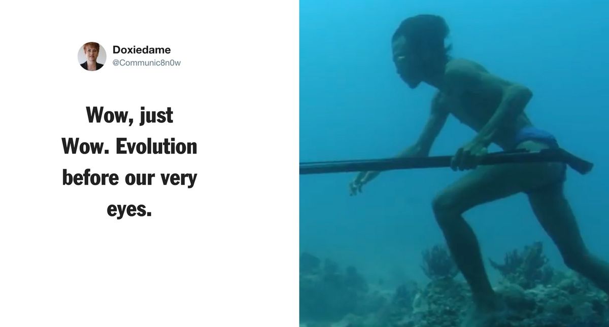 Bajau Divers Can Hold Their Breath Longer Due to Larger Spleens From Genetic Mutation