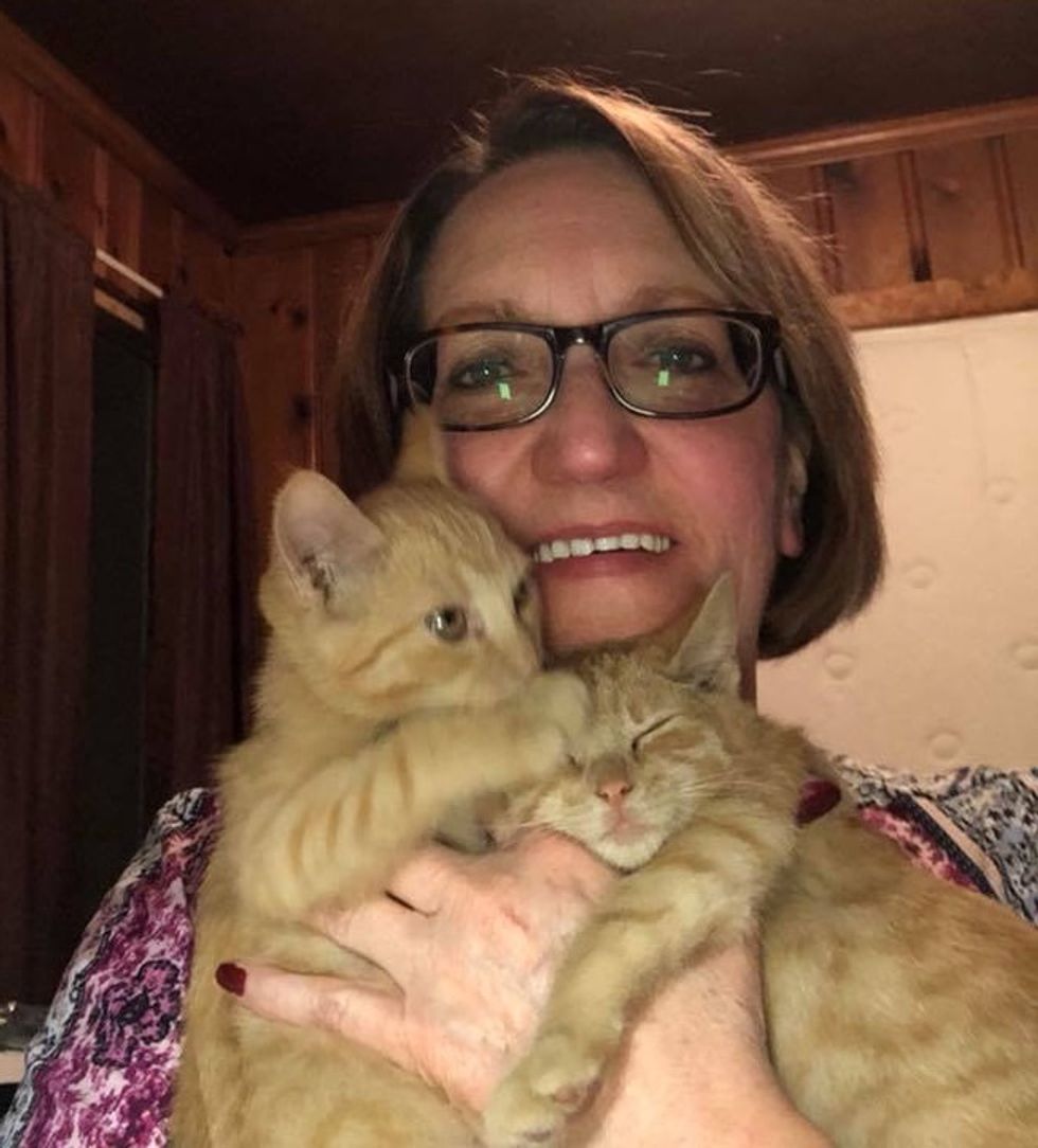 2 Ginger Kittens Rescued From Heartbreaking Situation, Find Someone