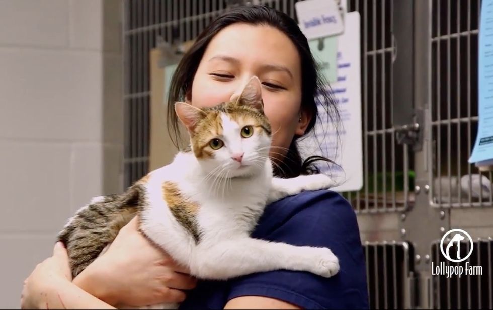 Wobbly Cat Comforts Rescued Animals That Come Through Shelter, and