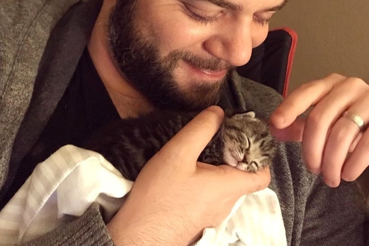 Worker Heard Kitten Meows Coming From Packaging Box and Found Tiny Kitty In Need of Love