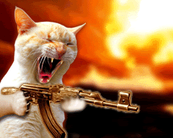 Dumb Rick Perry To Dumb Donald Trump: MEEEEEE-OW! SCRATCH! HISS!