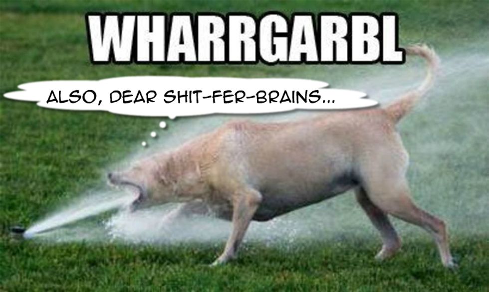 Deleted Comments: One Of Those Weeks Where The Bigots Forgot What Their Own Slurs Mean