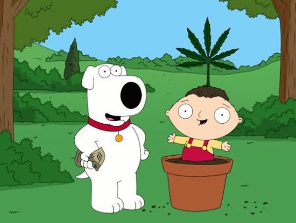 D.C. Proposes Welfare Reefer For Poor Jazz Criminals