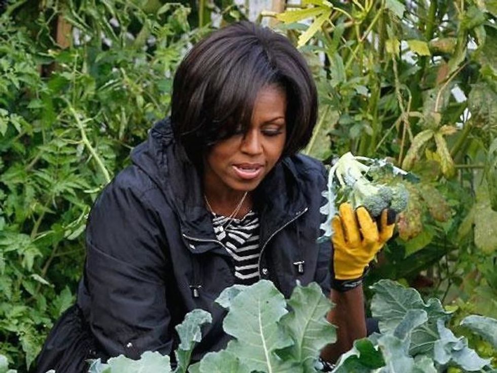 Bernie Bro Just Wondering Who Her Royal Highness Michelle Obama Thinks She Is Anyway