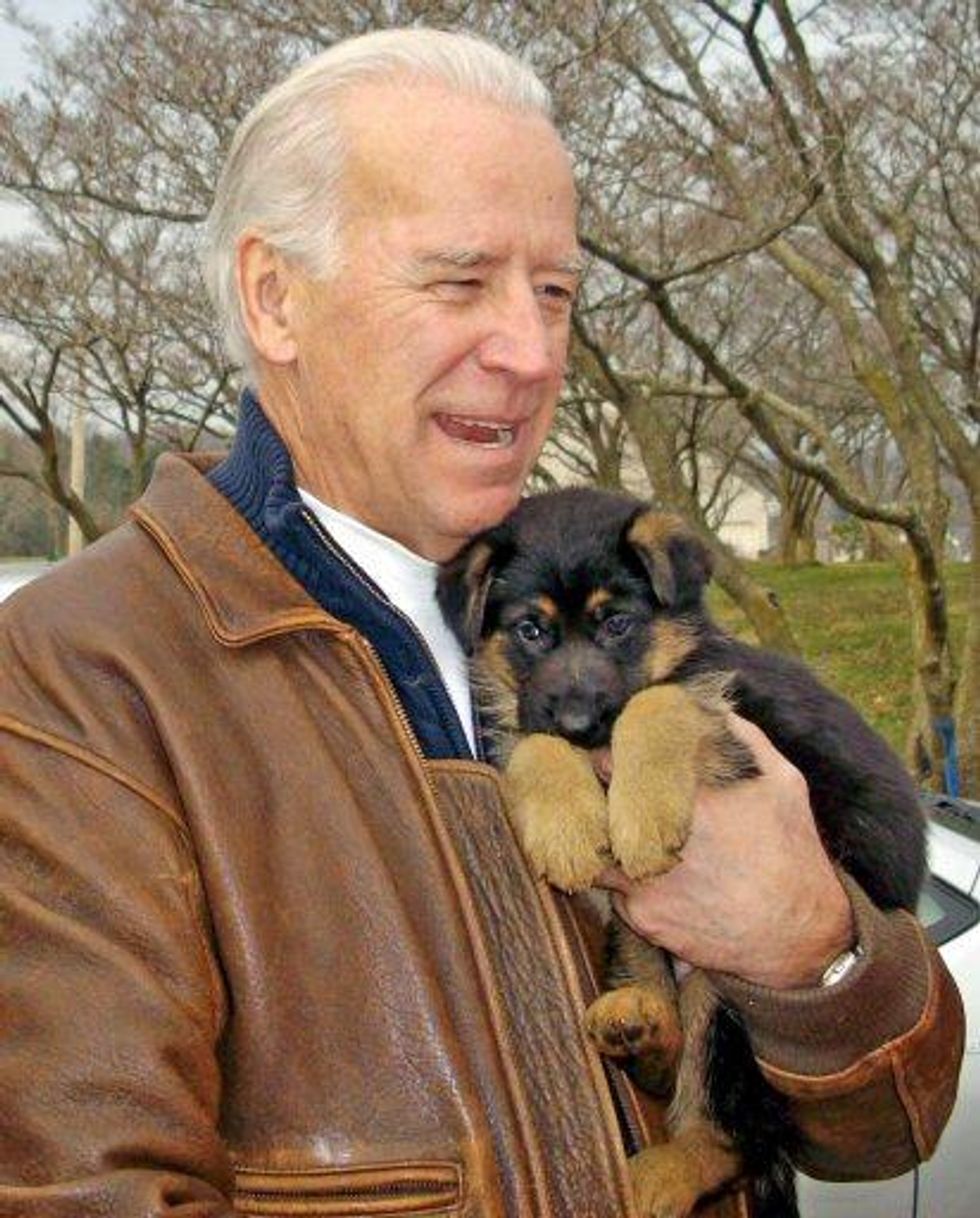 CNN Begs Joe Biden To Run For President, Promises Debate Spot And Puppy