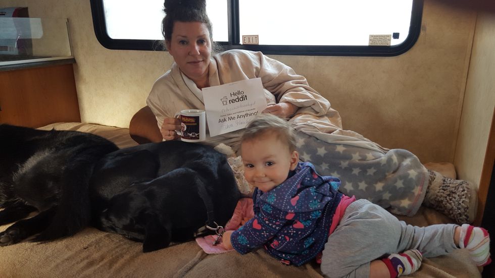 Ask Wonkette Anything About Why We Are Doing A Reddit Ask Me Anything!