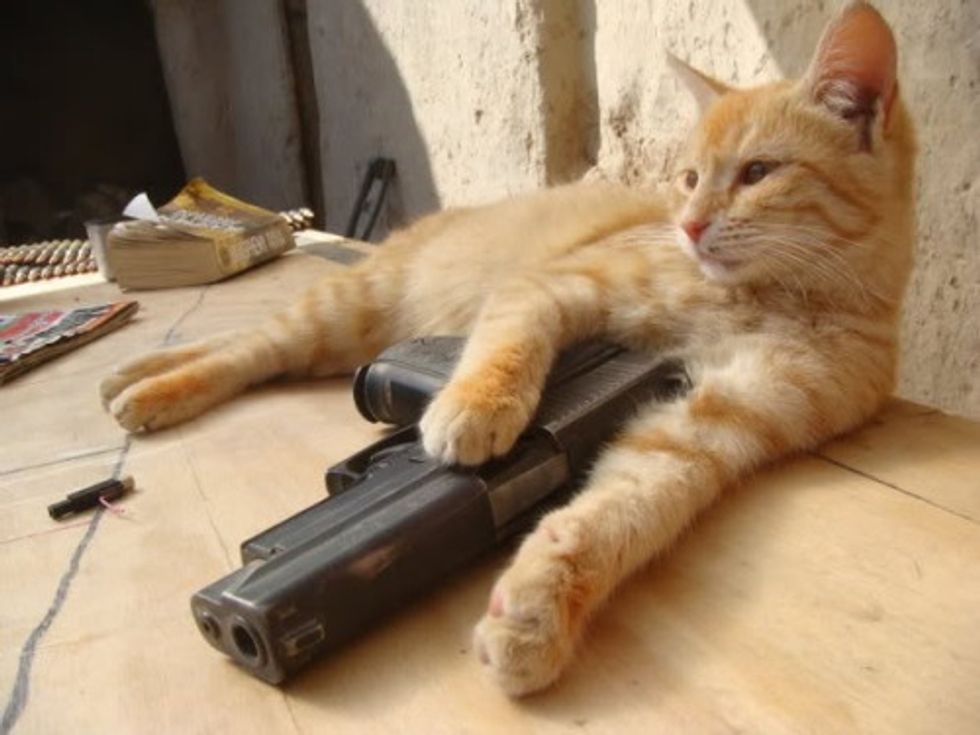 Gun Fun Roundup: Please Don't Shoot Your Pal In Gun Safety Class