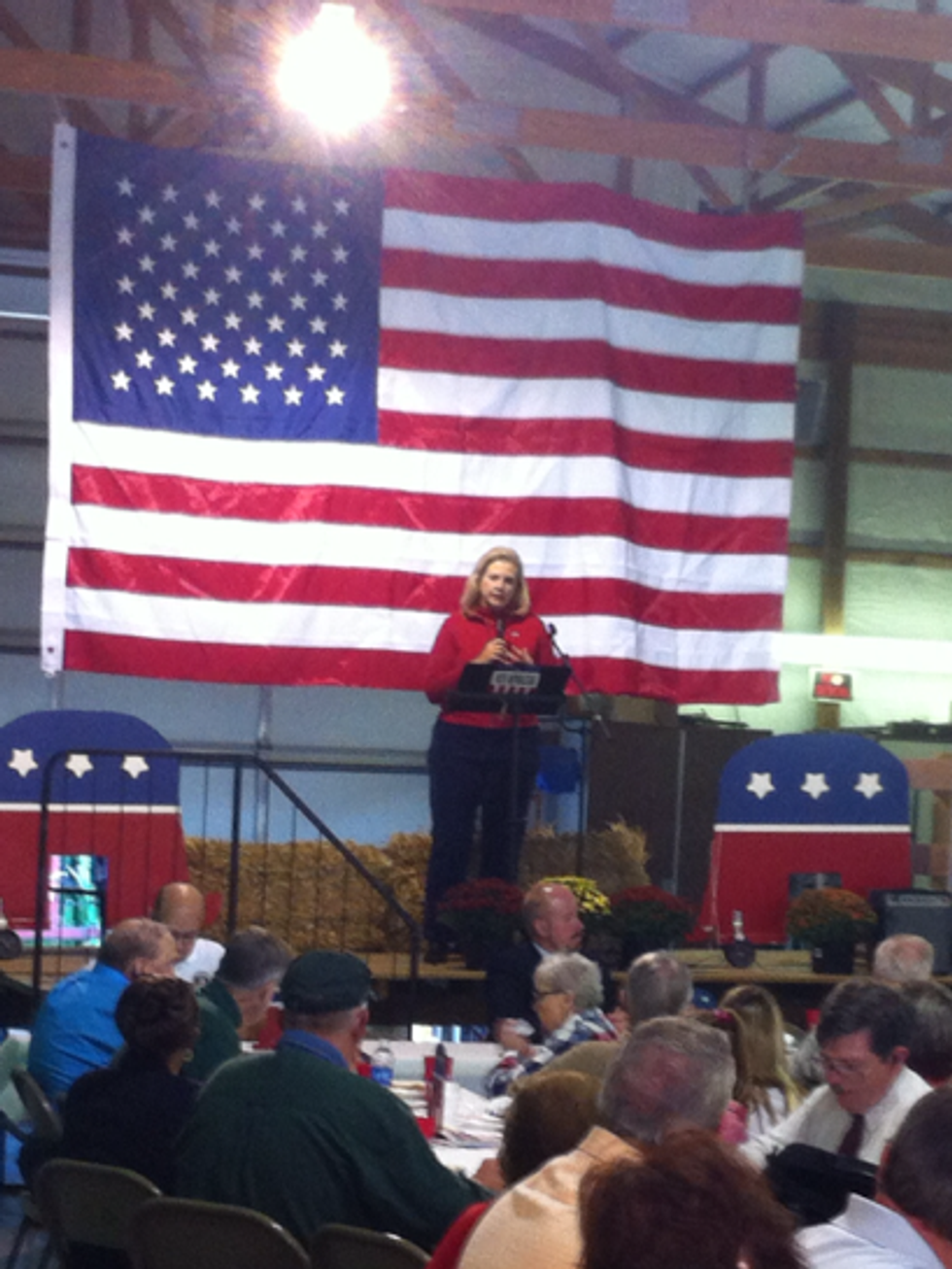 Wannabe Missouri Gov Lady Wishes Liberals Would Stop Porning The Children