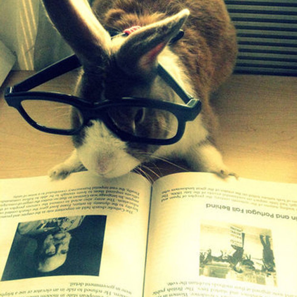 Wonkette Week In Review: Don't Miss This Essential Reading