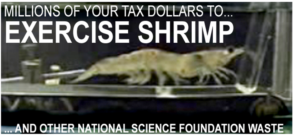 You Will Be Outraged By The Tax Dollars Not Spent On This Dumb Science Thing!
