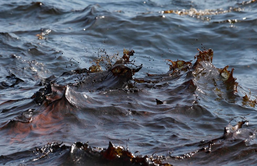 Happy Exxon Valdez 25th Anniversary Day! What Fish Will You Murder To Celebrate?