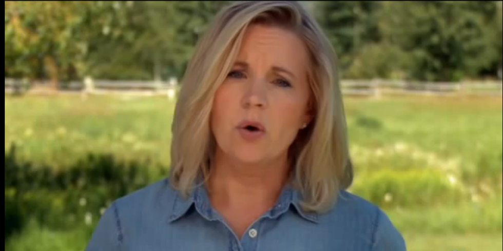 Liz Cheney Is 'Not Pro-Gay Marriage'; Is, However, World's Worst Sister