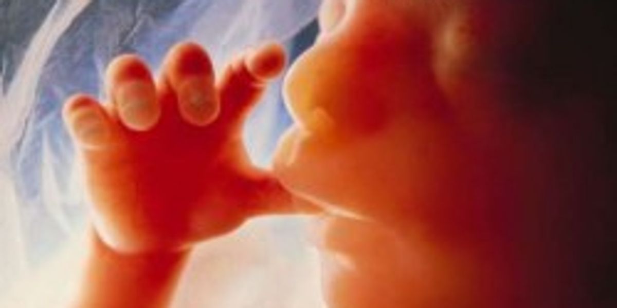 On The Pill? Tiny Dead Fetuses Are Eating Your Innards - Wonkette