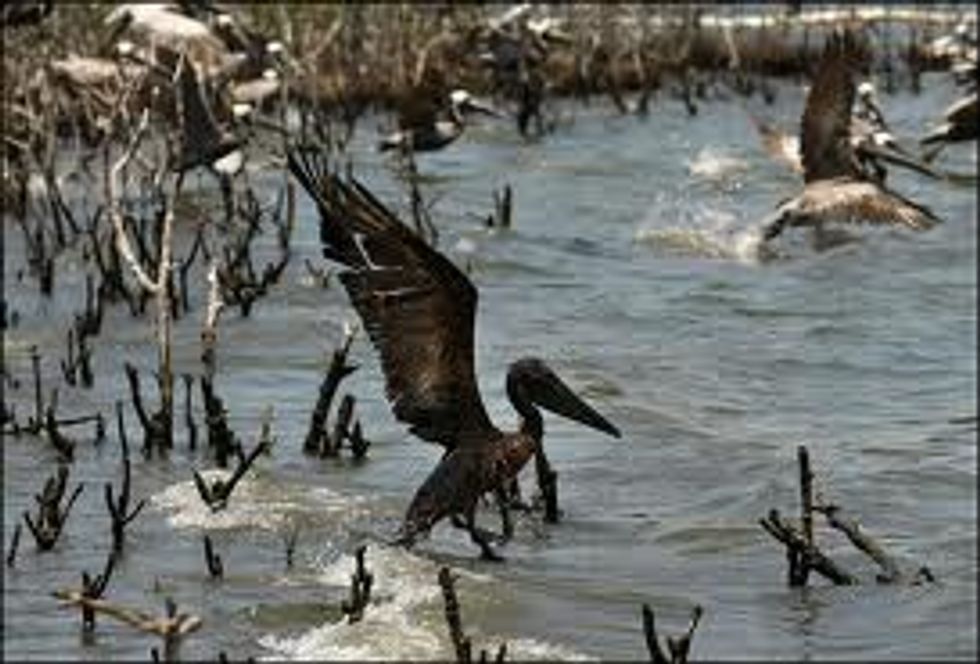 US Senate Votes To Aid and Comfort Oil Companies In Their Time Of Trillion-Dollar-Profit Need