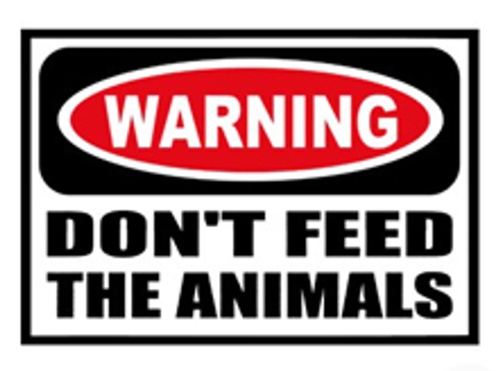 Conservatives Wonder: If Obama Hates Paul Ryan's Plan So Much, Why Can't We Feed Park Animals?