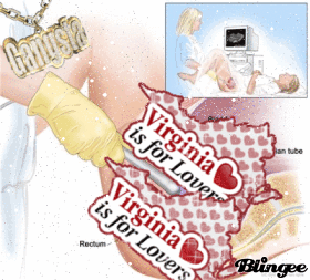 Virginia Mandates ‘Unwanted Vaginal Penetration’ For The Abortion-Curious