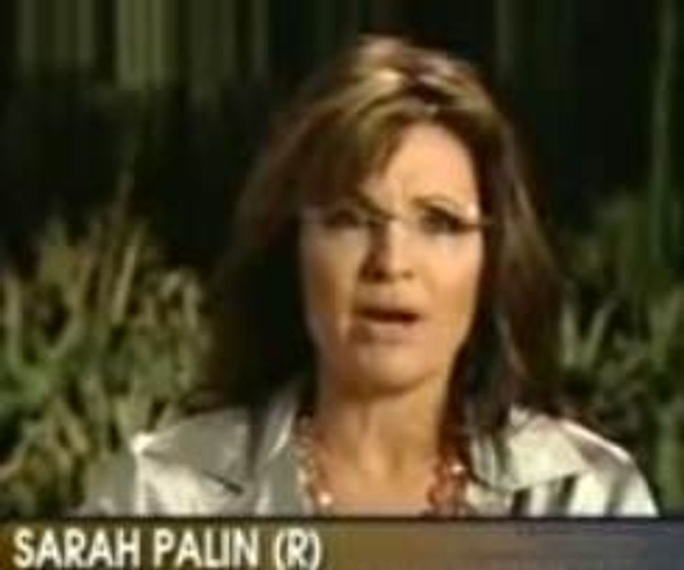 Sarah Palin Emerges From Hole, Sees Her Shadow, Says 'WTF'