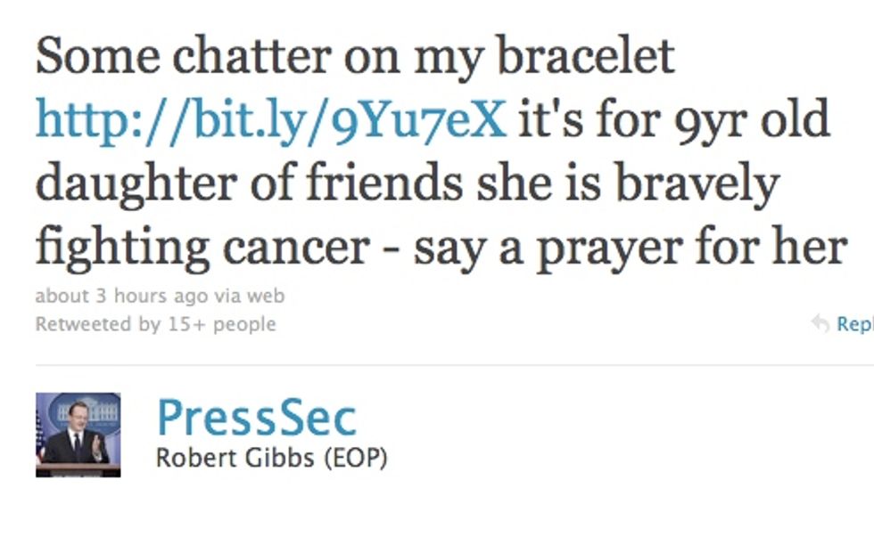 Robert Gibbs, 'Big Government' Have Different Explanations For Robert Gibbs' Bracelet