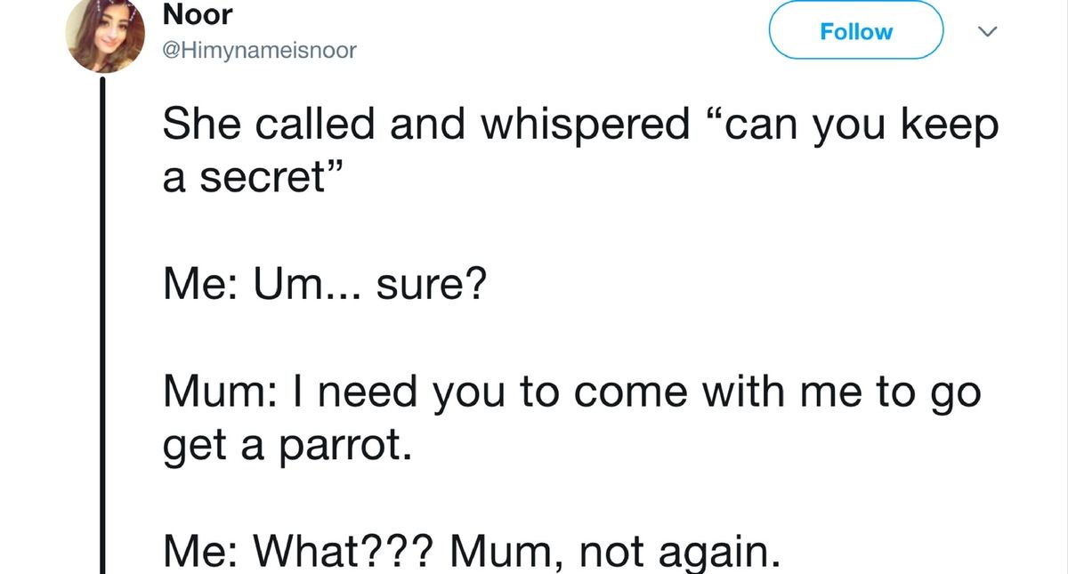 Mom's Secret Plot To Buy A Parrot Is Truly The Stuff Of Legend