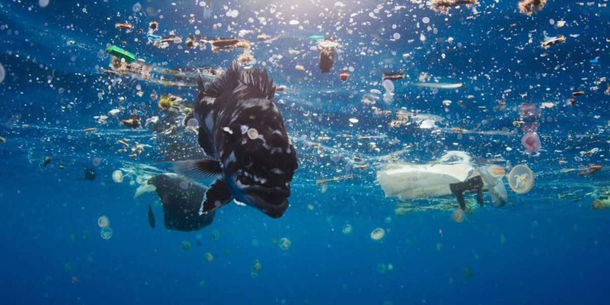 5 Tips To Punch Plastic Pollution