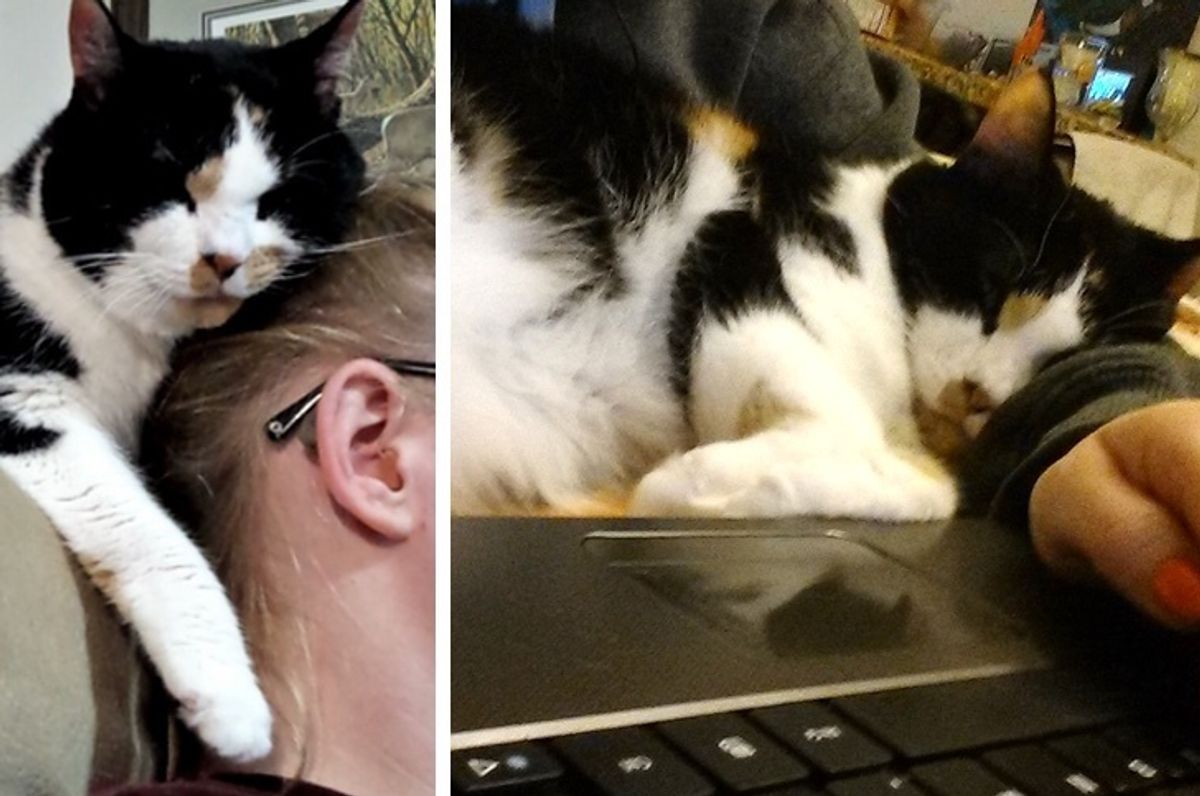 18-year-old Cat Has Been Girl's Loyal Friend, Study Buddy Since She Found Her as Kitten