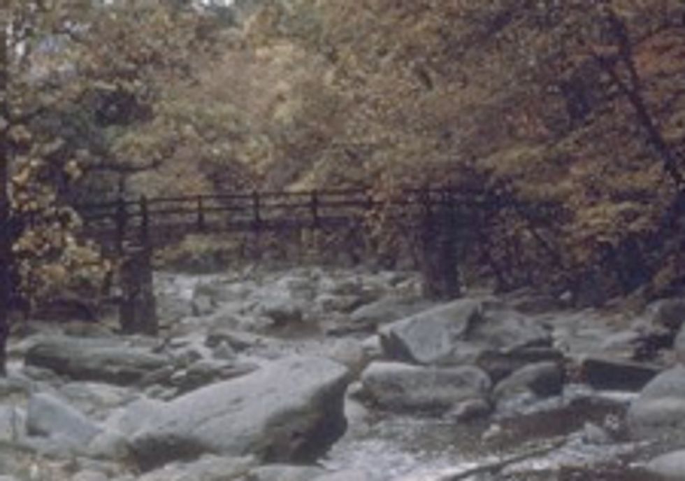 Latest Sketchy Rock Creek Dead Person Was... An ACLU Lobbyist