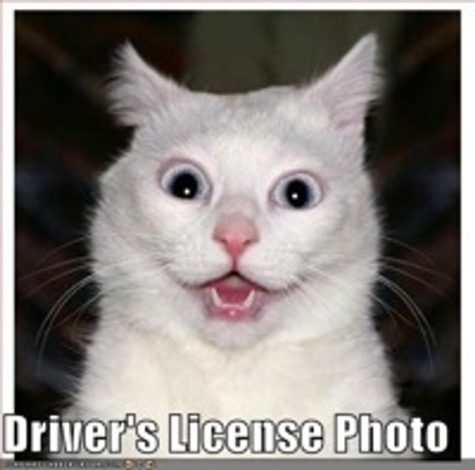 Virginia DMV Makes Driver's Licenses Look More Like Mug Shots