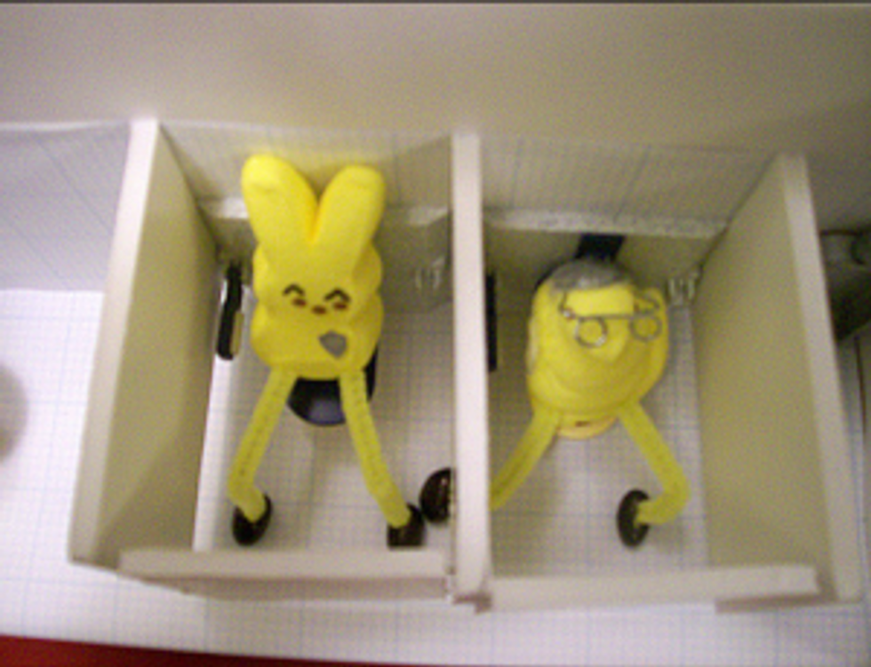 Call for Submissions: WaPo's Annual Peep Show