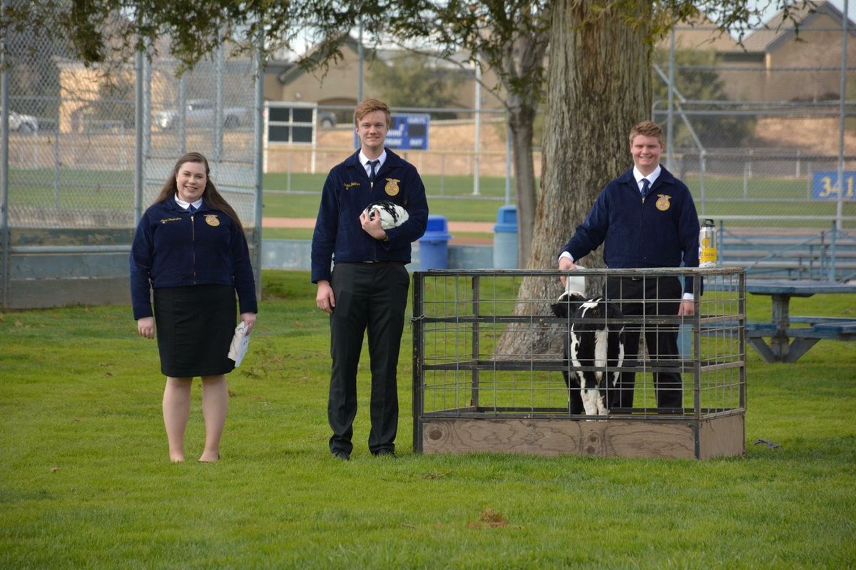 Current FFA Students, Cherish Your Time In The Blue Jacket