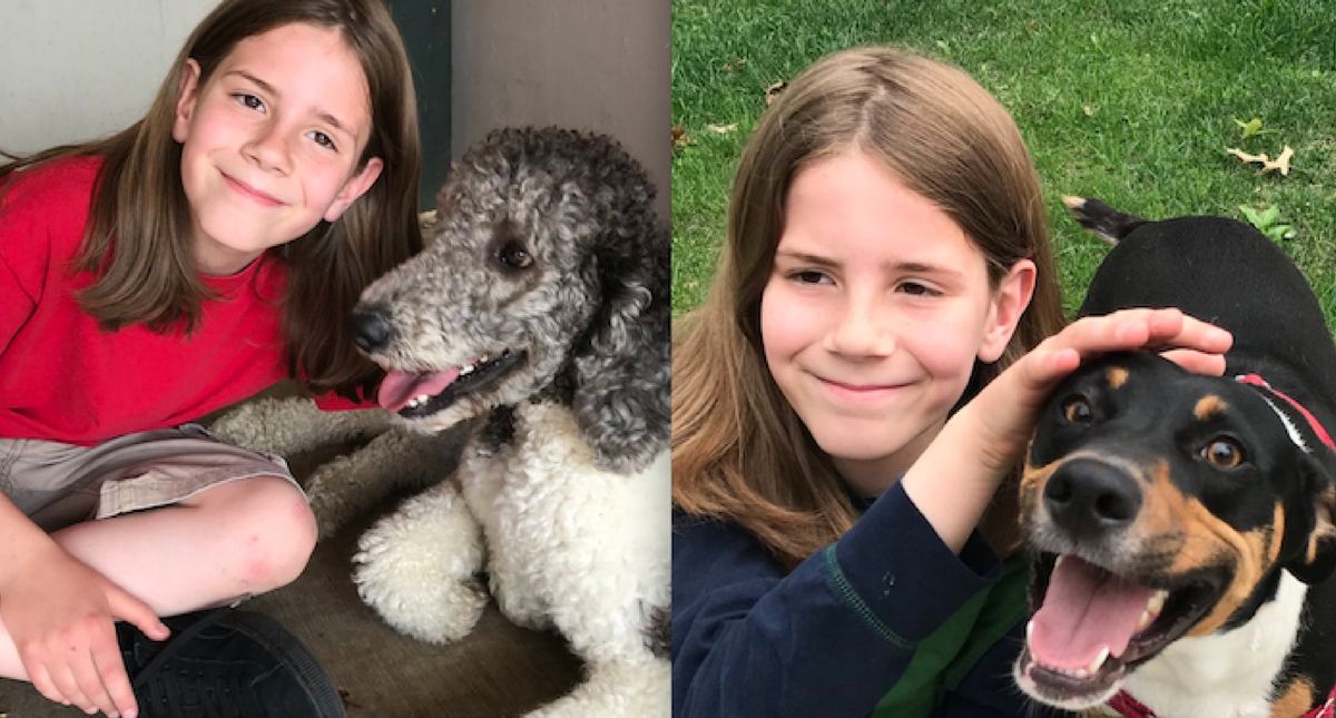 This Twitter Account Of A 9-Year-Old Boy's Adventures Petting Different Dogs Is Too Pure ðŸ˜�