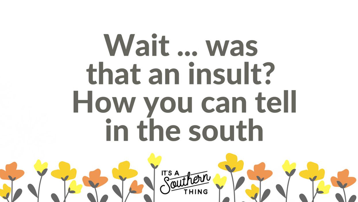 13 thinly veiled Southern insults