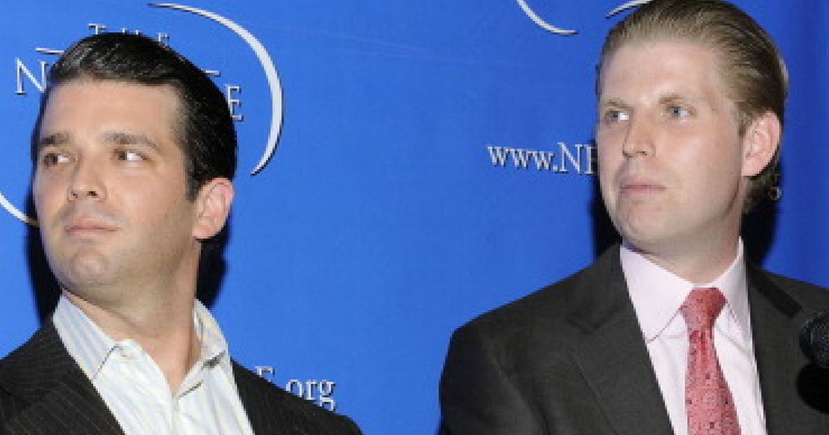 The Internet Is Roasting The Hell Out Of A Photo Of Don Jr. And Eric Trump ðŸ˜‚