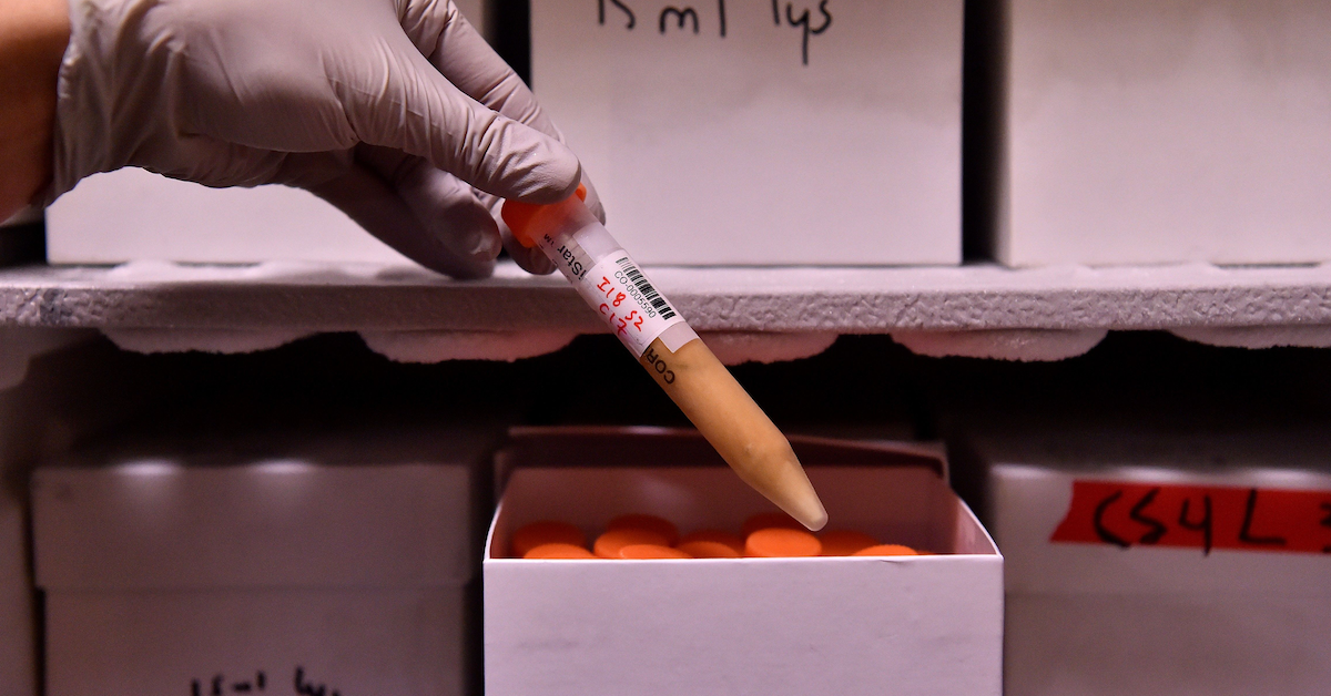 Anonymous People Who Took A DNA Test Reveal What Their Results Said About Them