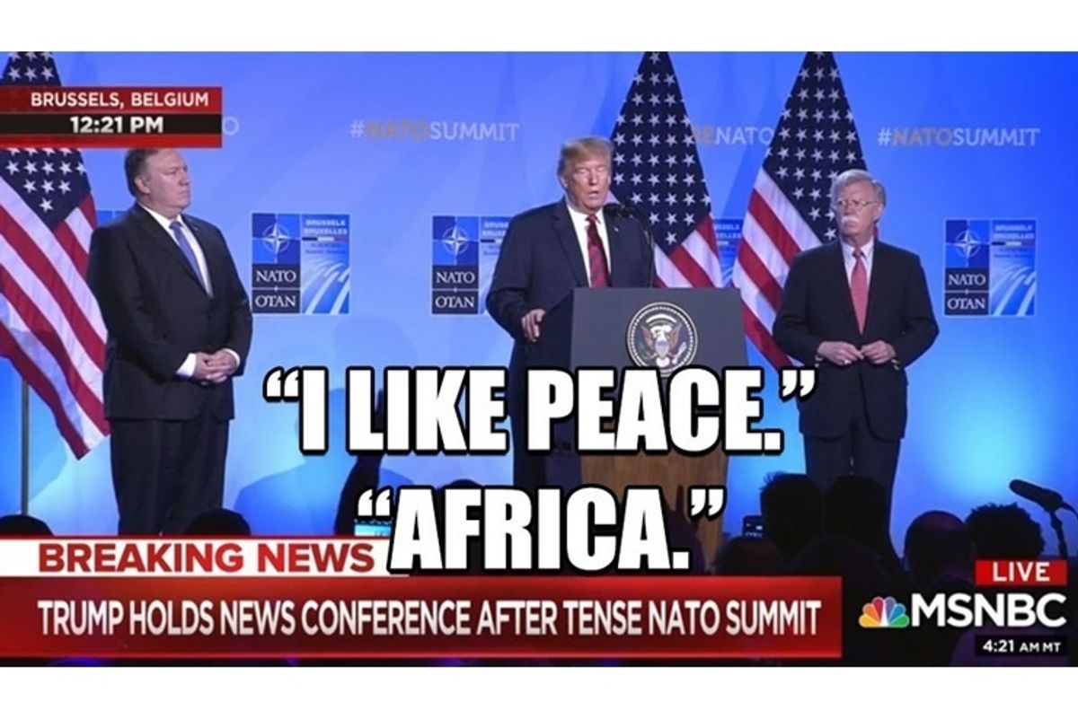 Trump NATO WTF
