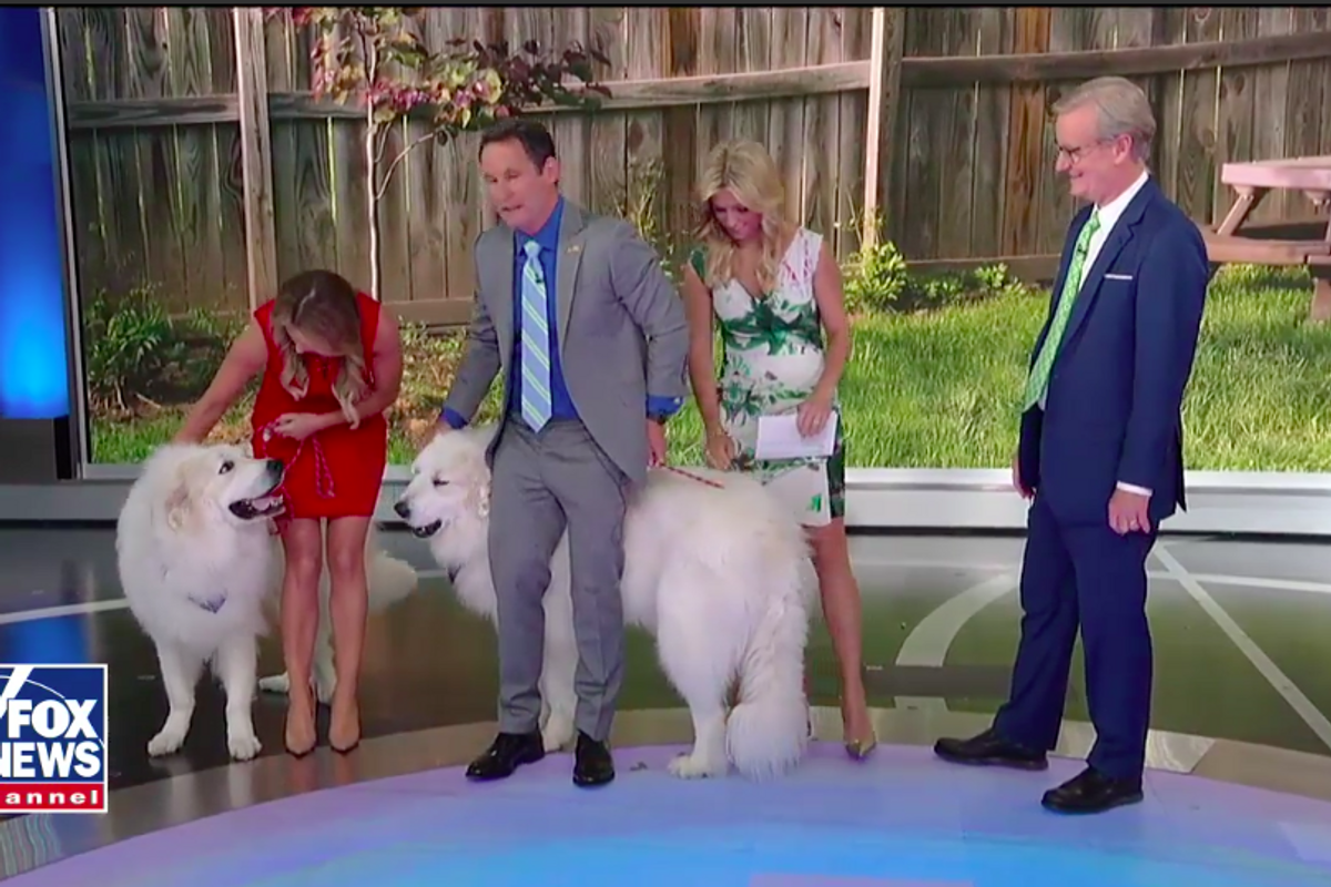 'Fox & Friends': Caged Kids Aren't Even From Idaho, So What's The Big Deal?